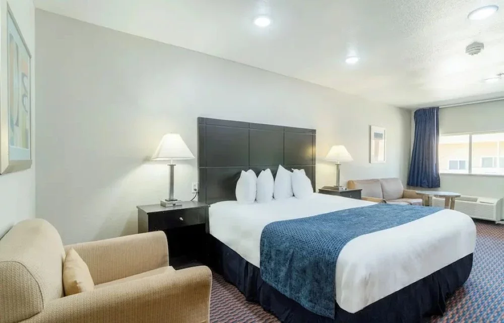 King Suite Room